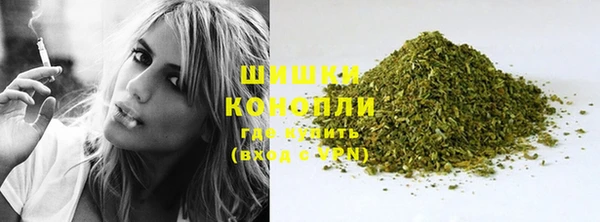 ПСИЛОЦИБИНОВЫЕ ГРИБЫ Балахна
