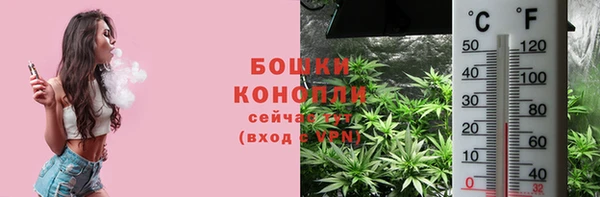 ПСИЛОЦИБИНОВЫЕ ГРИБЫ Балахна