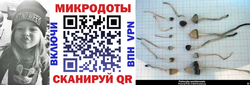 Галлюциногенные грибы Magic Shrooms Ливны